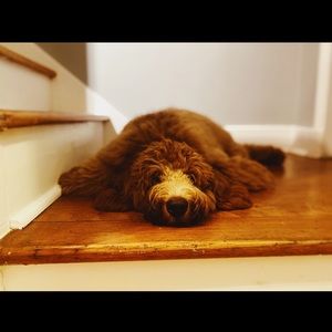 Meet your Posher, Erin